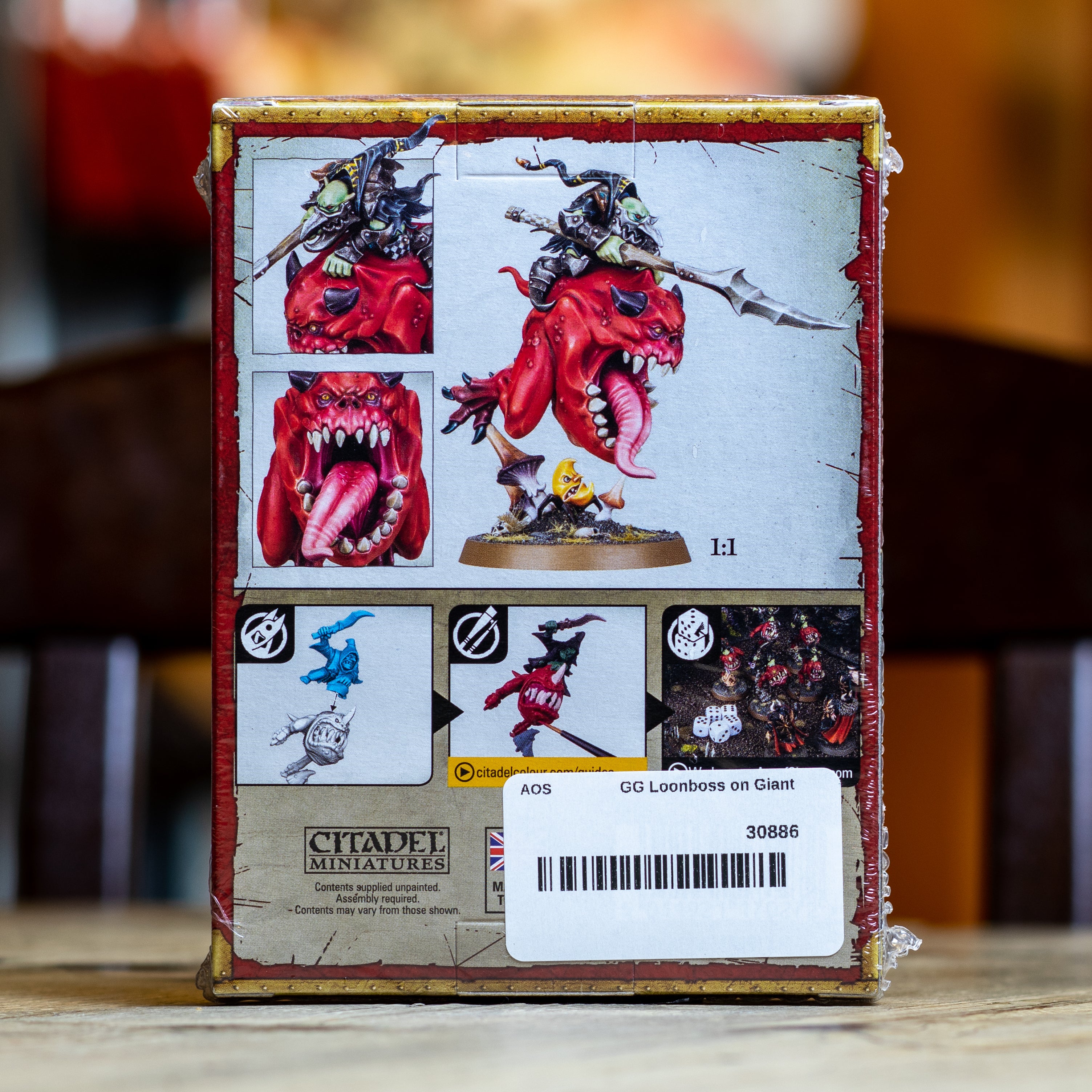 Warhammer AoS - Loonboss on Giant Cave Squig