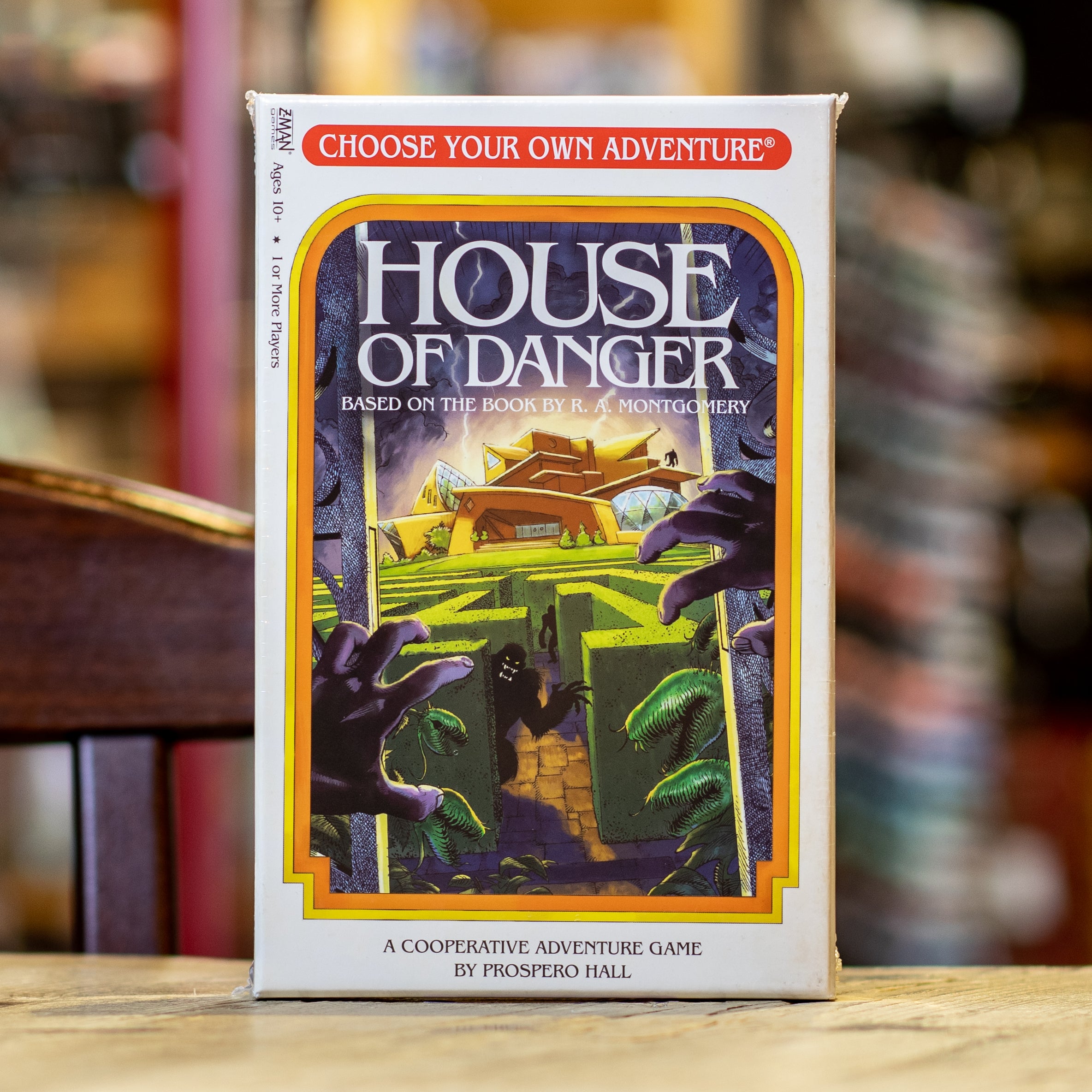 Choose Your Own Adventure: House of Danger