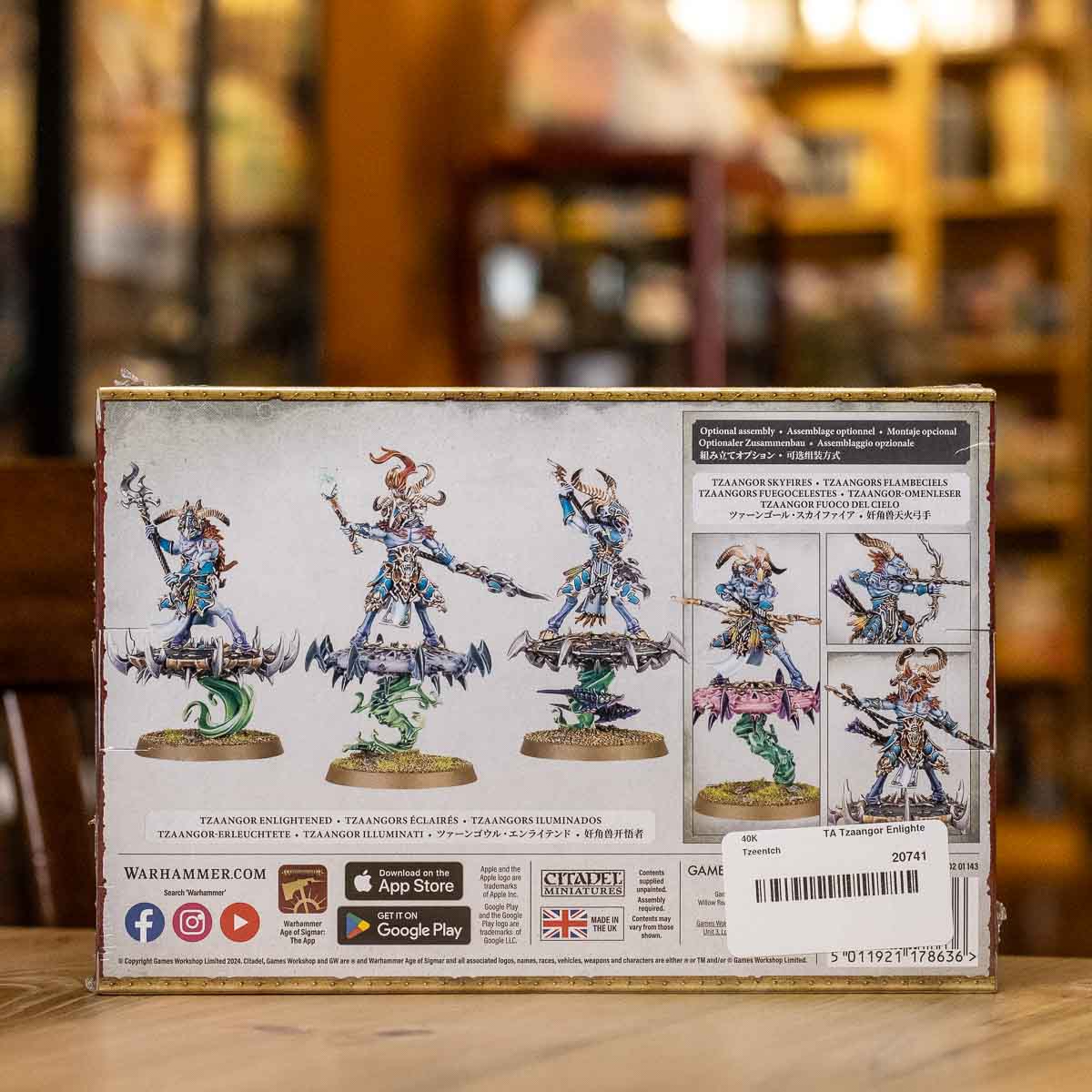 Warhammer 40K/AoS - Tzaangor Enlightened