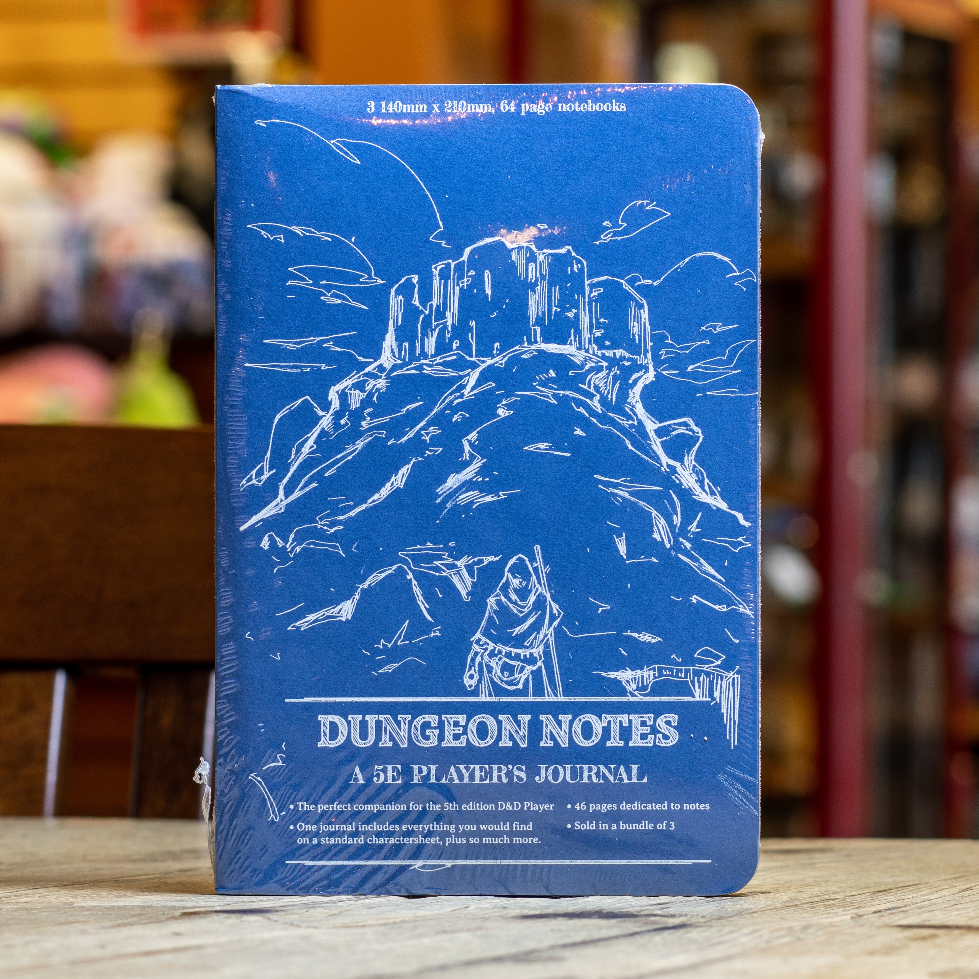 Dungeon Notes Hero's Journals (3 Pack - Blue)